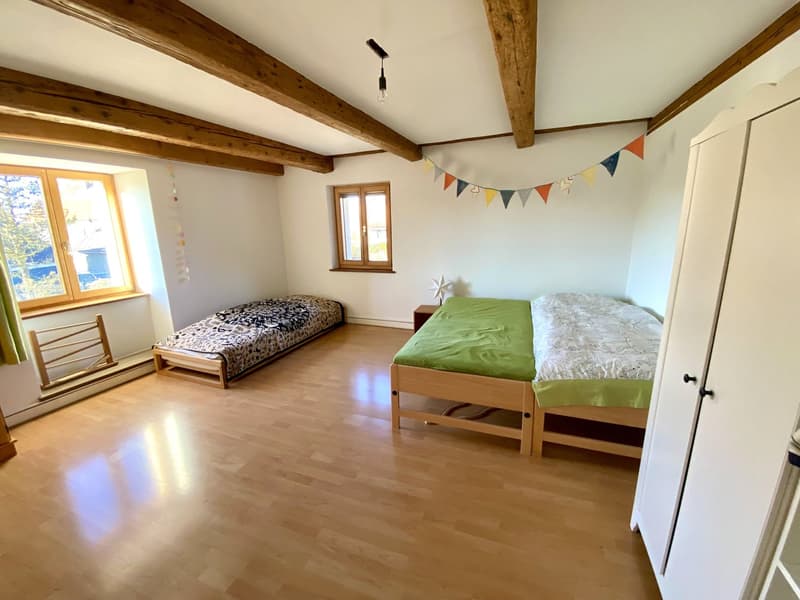 Spacieuse maison avec jardin, écurie, grange / Geräumiges Haus mit Garten, Stall, Scheune (32)