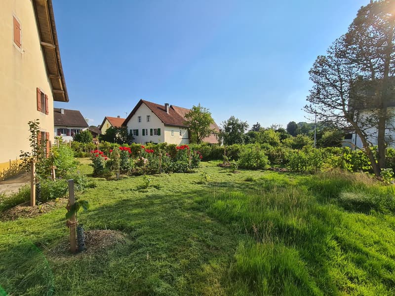 Spacieuse maison avec jardin, garage, grange / Geräumiges Haus mit Garten, Garage, Scheune (8)