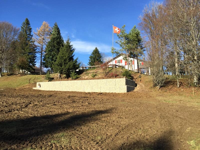 Magnifique maison individuelle de 7 pièces à la Montagne de Moutier (1130m) (17)