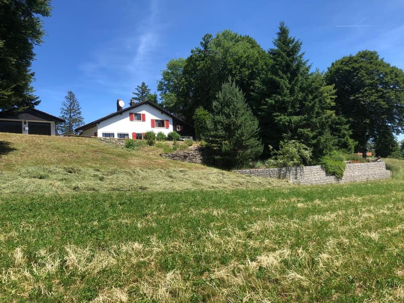 Magnifique maison individuelle de 7 pièces à la Montagne de Moutier (1130m) (18)