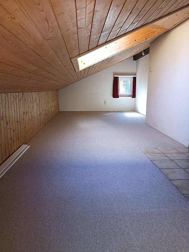 Magnifique maison individuelle de 7 pièces à la Montagne de Moutier (1130m) (57)