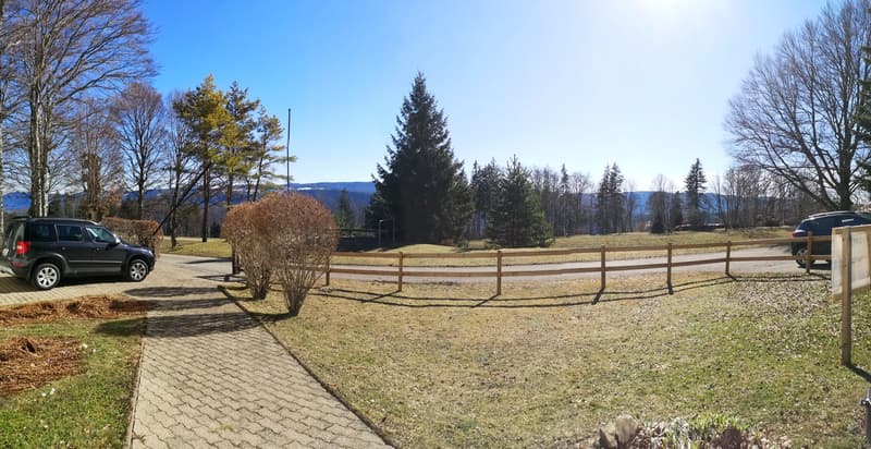 Magnifique maison individuelle de 7 pièces à la Montagne de Moutier (1130m) (20)