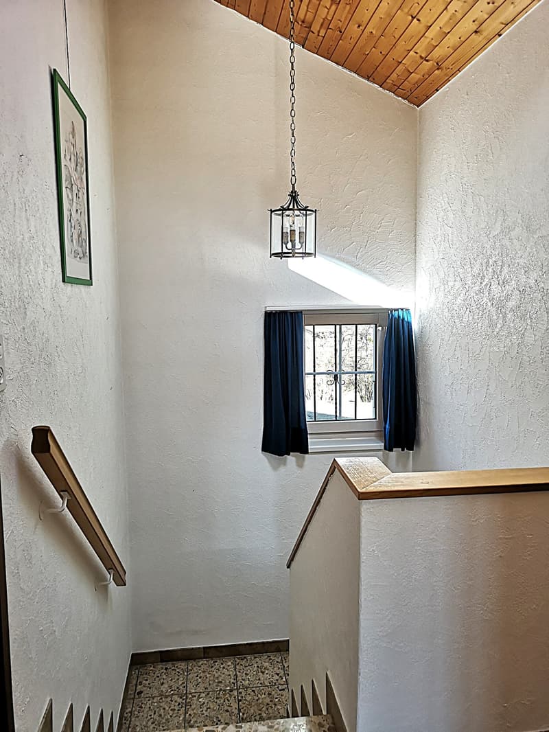 Magnifique maison individuelle de 7 pièces à la Montagne de Moutier (1130m) (52)