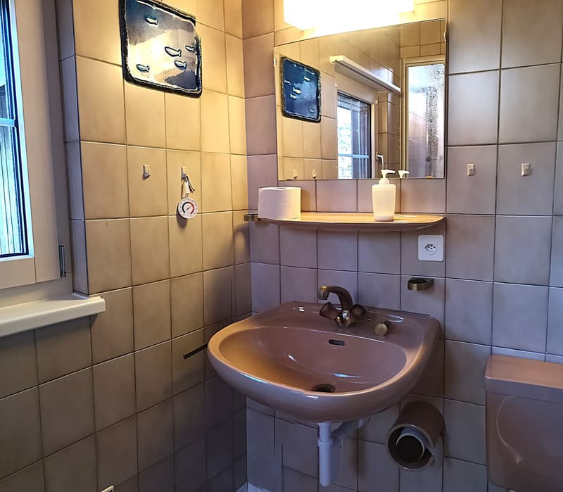 Magnifique maison individuelle de 7 pièces à la Montagne de Moutier (1130m) (61)