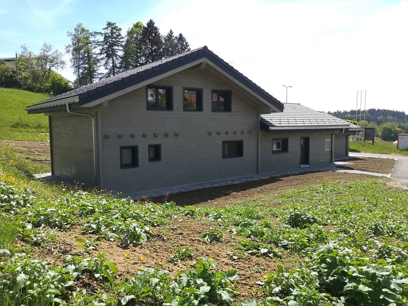 Grande maison moderne en madrier massif avec panneaux solaires, libre de suite (13)