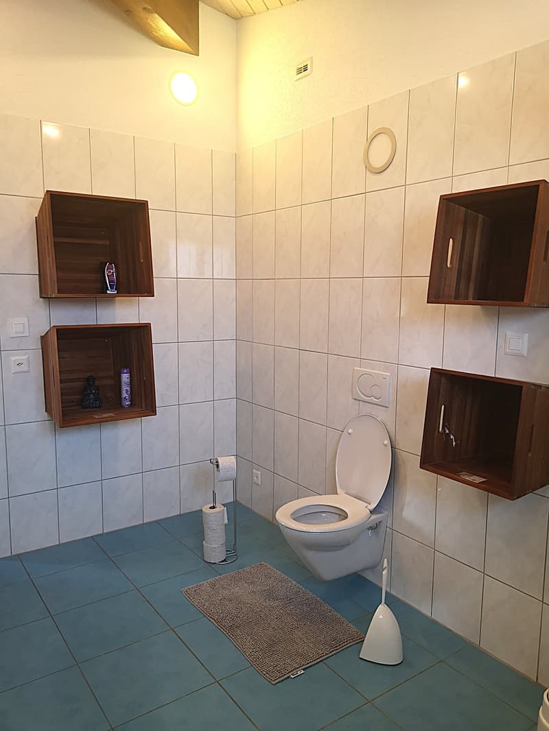 Grande maison familiale de 8,5 pièces à Lajoux, possibilité gestion chambres d'hôtes (45)