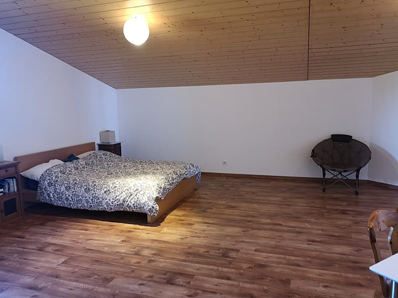 Grande maison familiale de 8,5 pièces à Lajoux, possibilité gestion chambres d'hôtes (40)