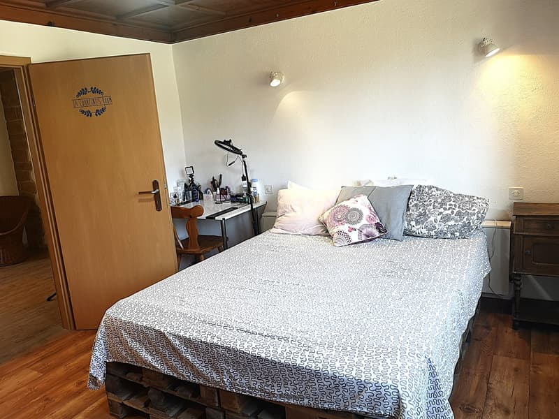 Grande maison familiale de 8,5 pièces à Lajoux, possibilité gestion chambres d'hôtes (21)