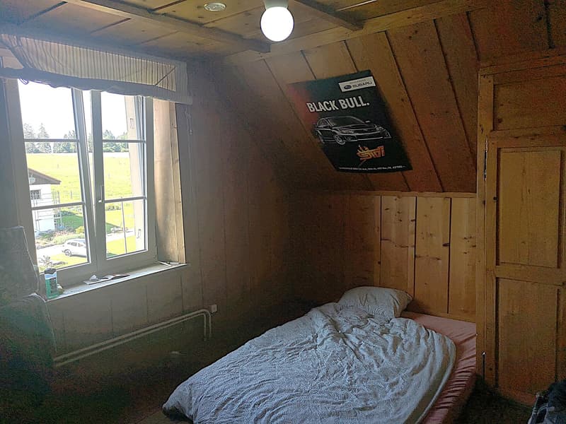 Grande maison familiale de 8,5 pièces à Lajoux, possibilité gestion chambres d'hôtes (54)