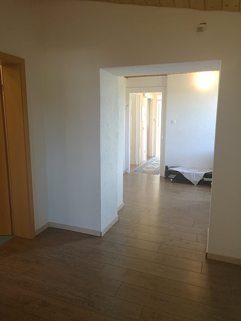 Grande maison familiale de 8,5 pièces à Lajoux, possibilité gestion chambres d'hôtes (31)