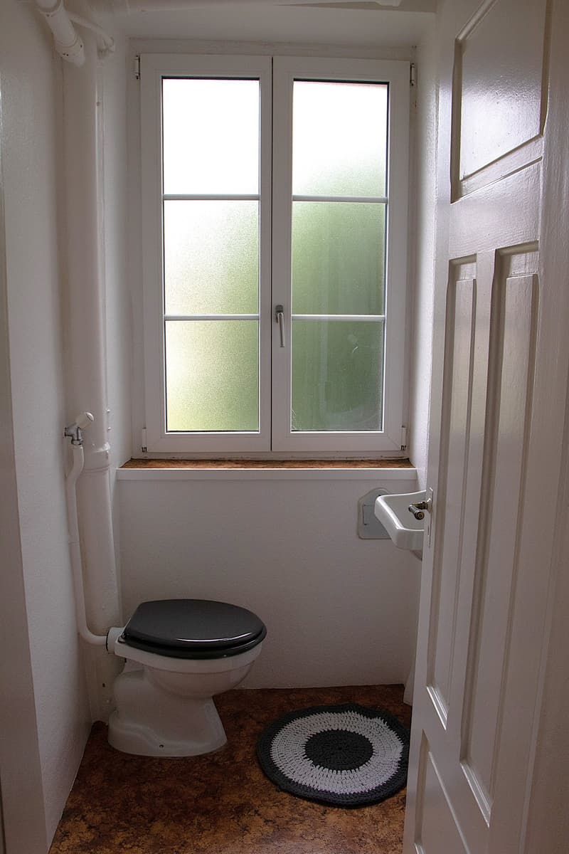 Grande maison familiale de 8,5 pièces à Lajoux, possibilité gestion chambres d'hôtes (24)