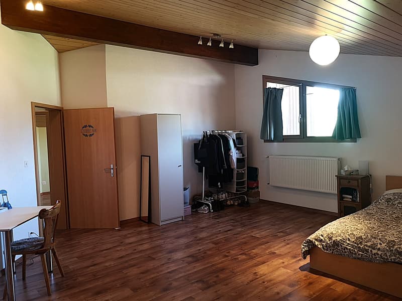 Grande maison familiale de 8,5 pièces à Lajoux, possibilité gestion chambres d'hôtes (41)