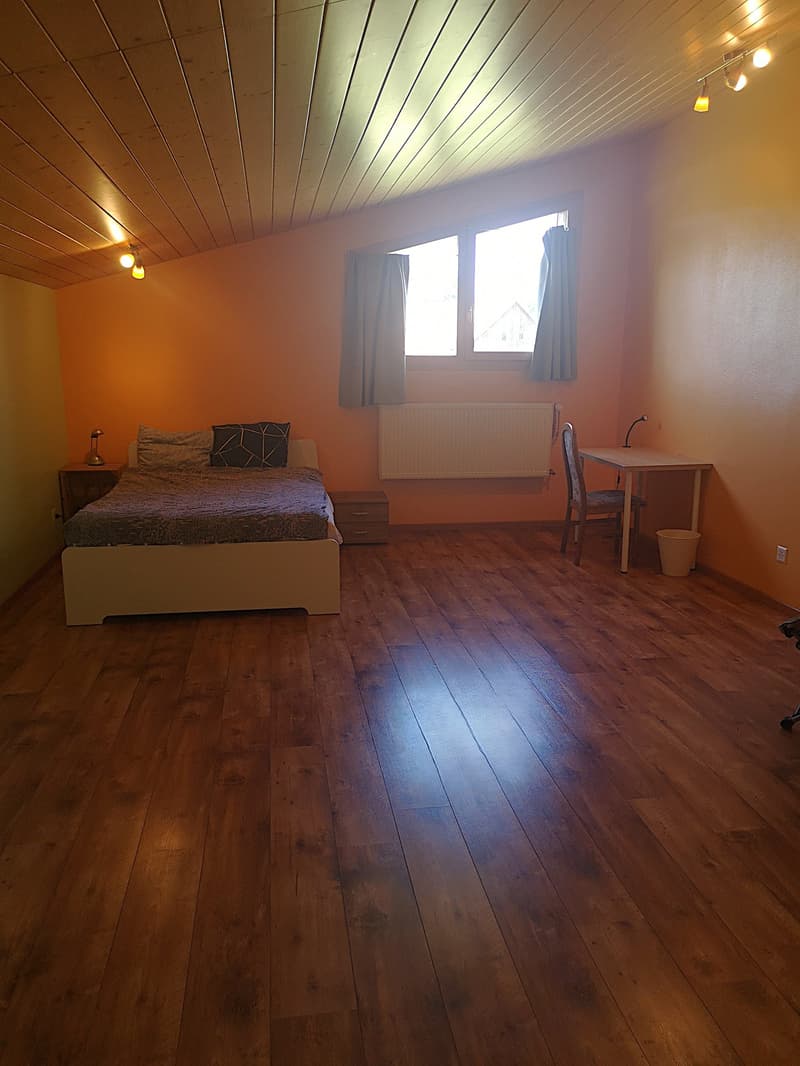 Grande maison familiale de 8,5 pièces à Lajoux, possibilité gestion chambres d'hôtes (38)