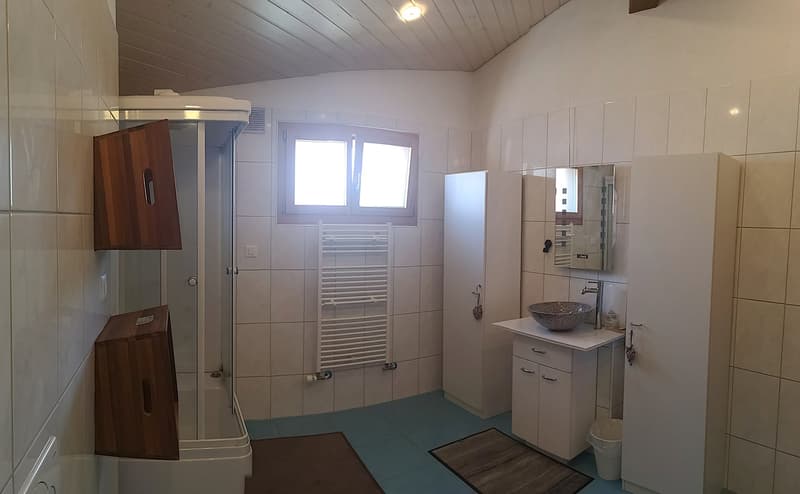Grande maison familiale de 8,5 pièces à Lajoux, possibilité gestion chambres d'hôtes (44)
