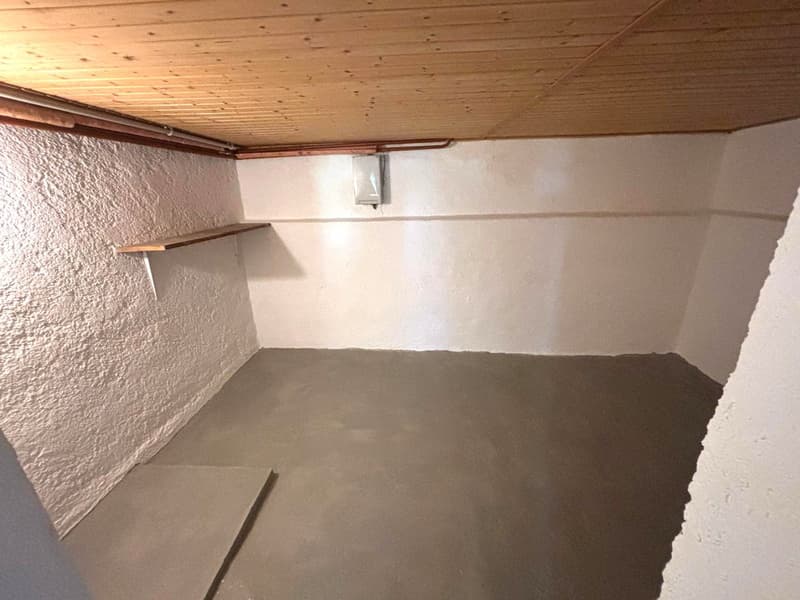 Grande maison familiale de 8,5 pièces à Lajoux, possibilité gestion chambres d'hôtes (56)
