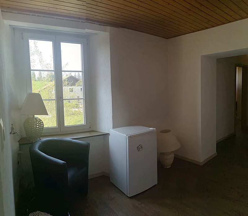 Grande maison familiale de 8,5 pièces à Lajoux, possibilité gestion chambres d'hôtes (32)