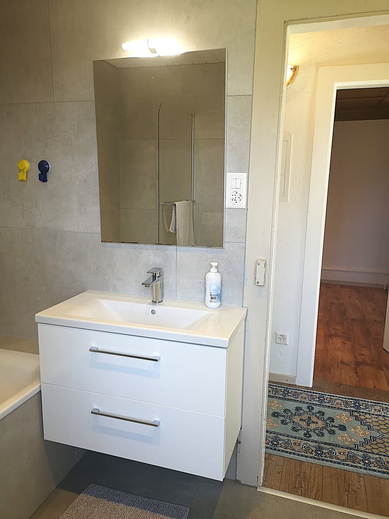 Grande maison familiale de 8,5 pièces à Lajoux, possibilité gestion chambres d'hôtes (34)