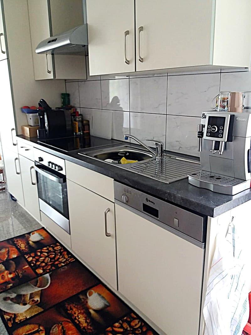 Baisse de prix : maison avec deux appartements loués et un appartement pour le propriétaire (40)