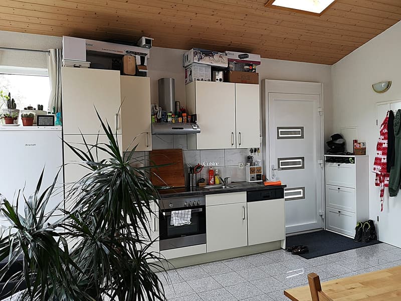 Baisse de prix : maison avec deux appartements loués et un appartement pour le propriétaire (32)