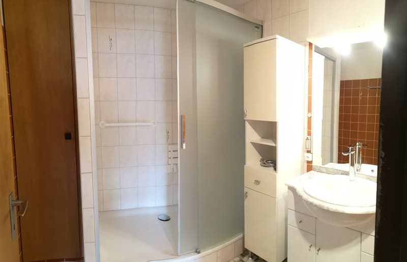 A vendre à Delémont : appartement 3.5 pièces, avec garage privé, vue sur la ville (17)