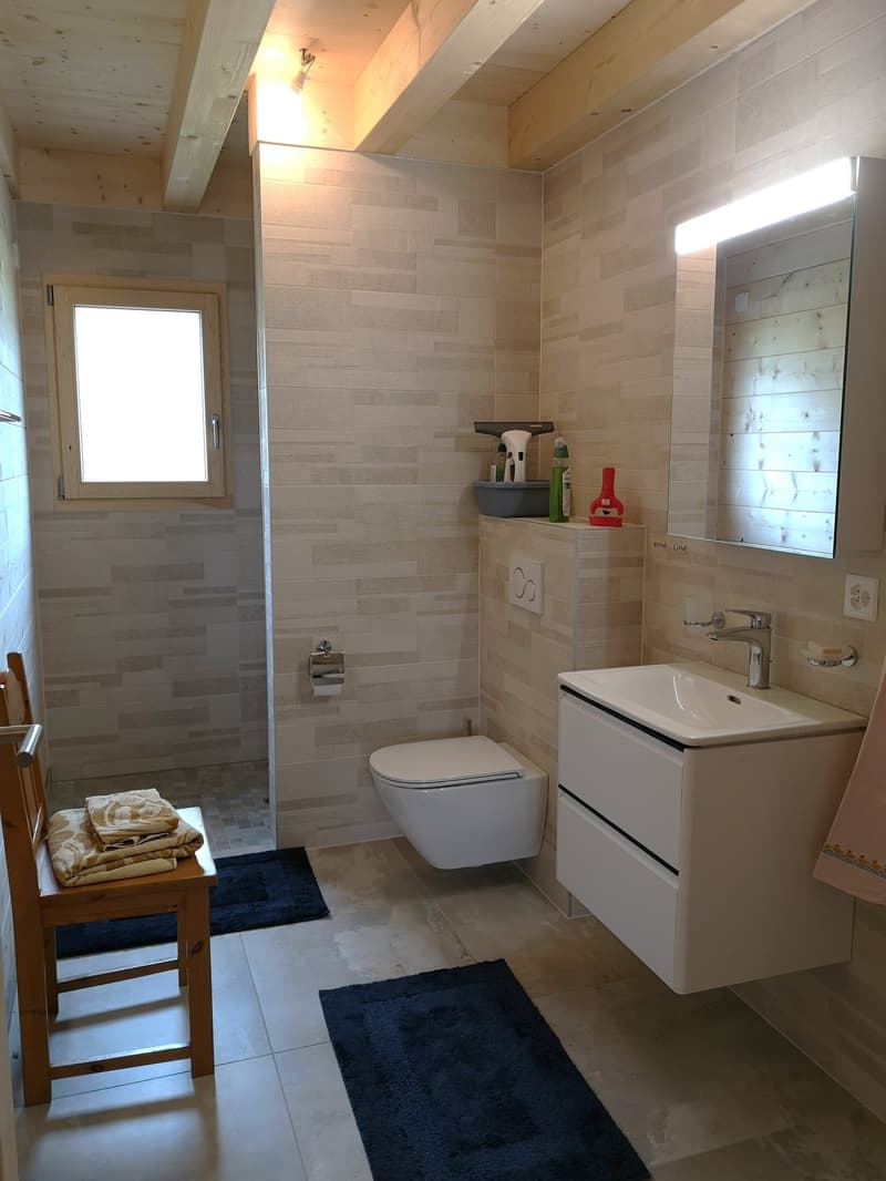 A vendre aux Savagnières, 6 maisons/chalets avec tout le confort moderne, construction dès 2025 (8)