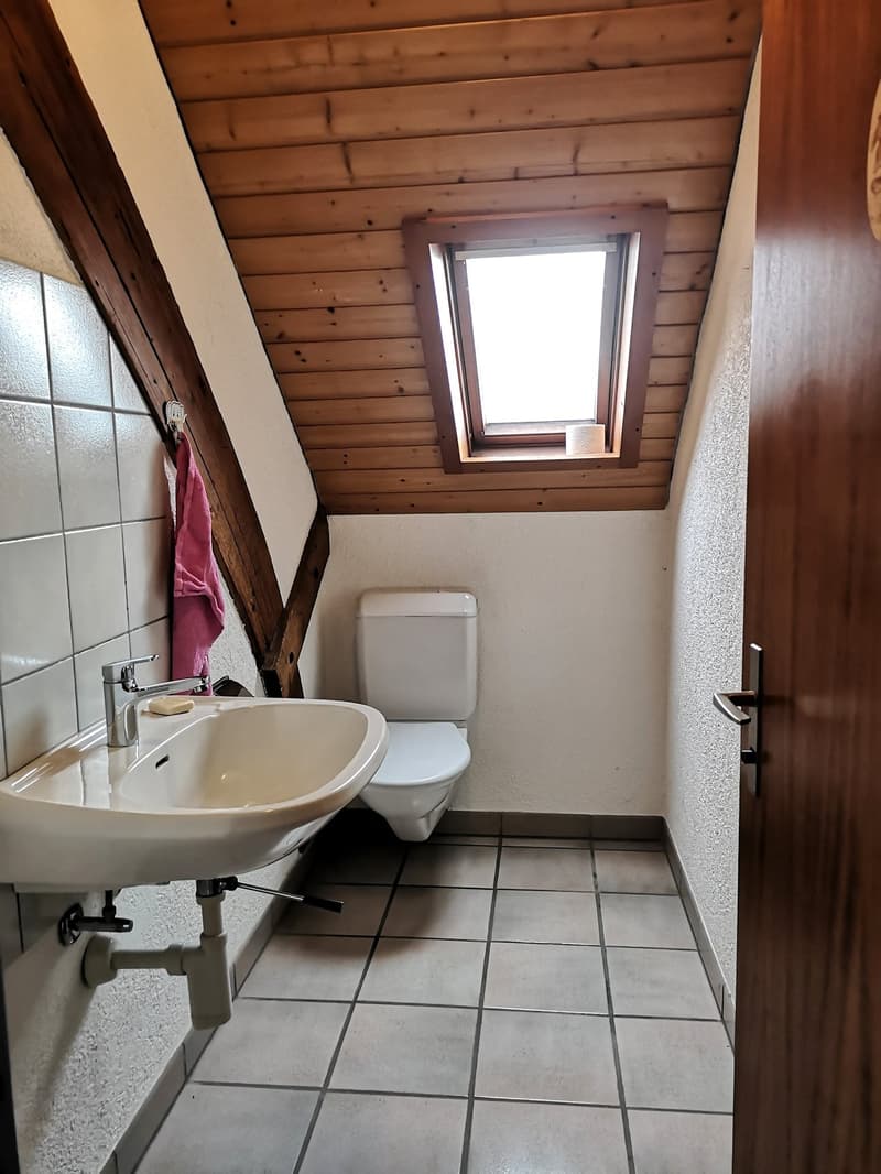 Grand duplex au centre du village avec garage et atelier, libre de suite (18)