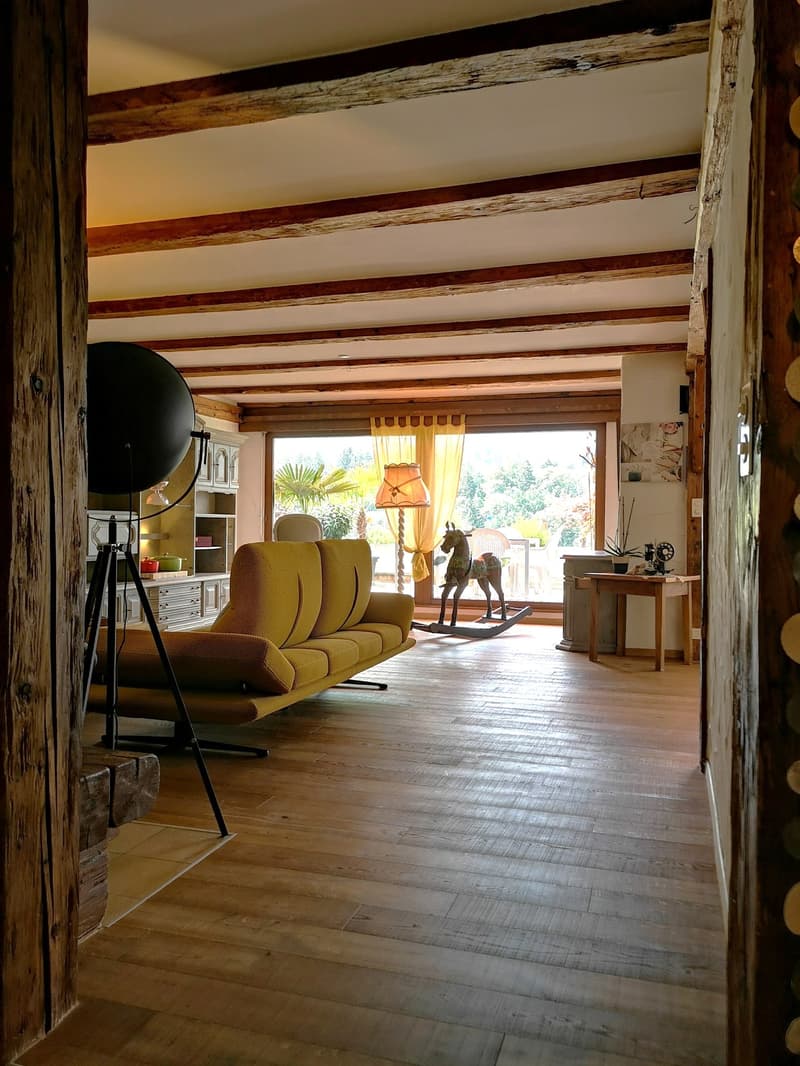 Spacieux appartement-terrasse de 5.5 pièces à Moutier avec vue dégagée, 2 garages (18)