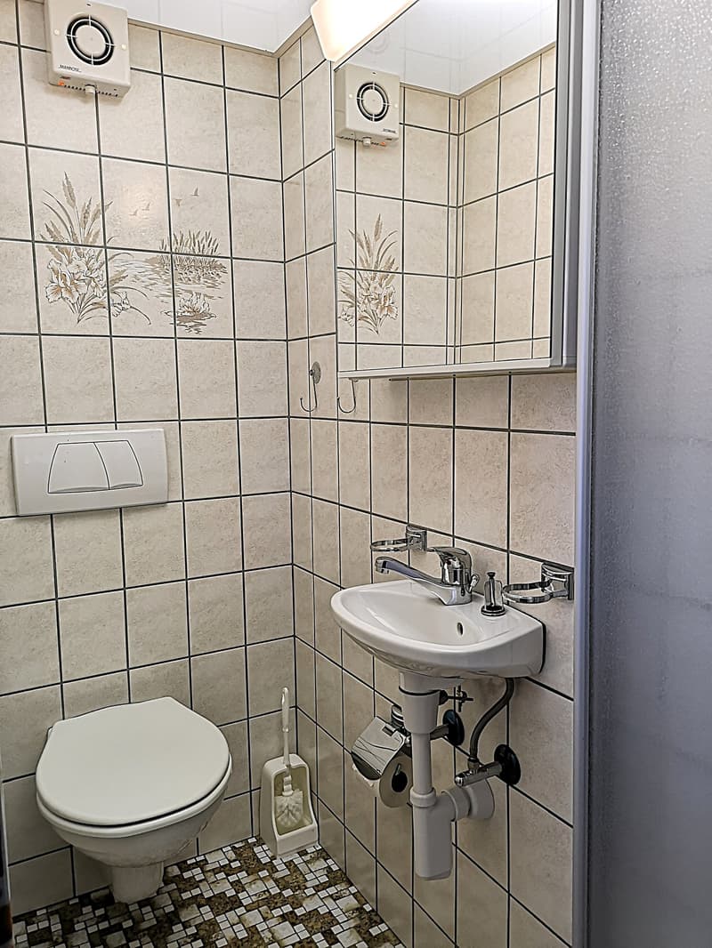 Baisse de prix : magnifique maison individuelle de 7 pièces à la Montagne de Moutier (1130m) (36)