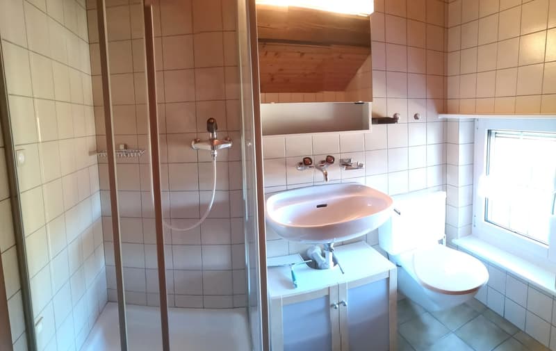 Baisse de prix : magnifique maison individuelle de 7 pièces à la Montagne de Moutier (1130m) (55)