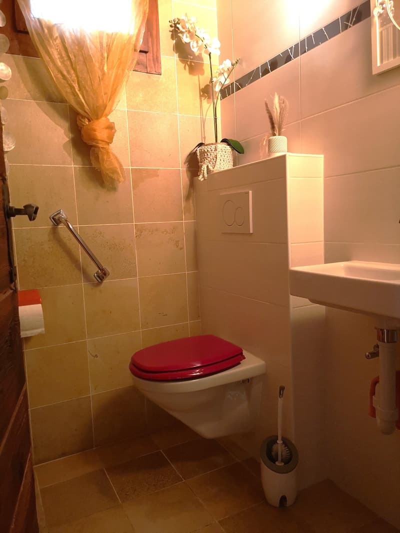 Spacieux appartement-terrasse de 5.5 pièces à Moutier avec vue dégagée, 2 garages (19)