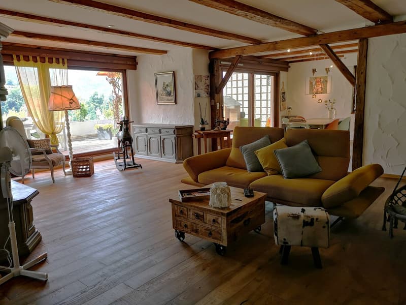 Spacieux appartement-terrasse de 5.5 pièces à Moutier avec vue dégagée, 2 garages (21)