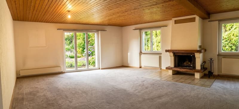 Jolie maison dans quartier résidentiel, avec garage + carport + place de parc, libre de suite. (21)