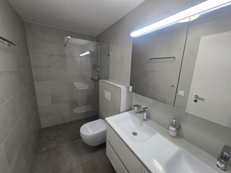 Villa contemporaine dans un quartier calme de Grimisuat (27)