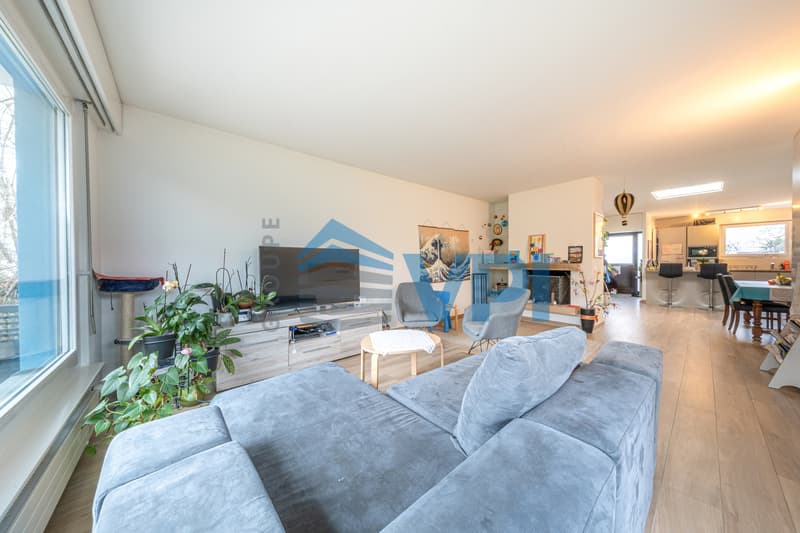 Villa a un solo piano a Meyrin (3)