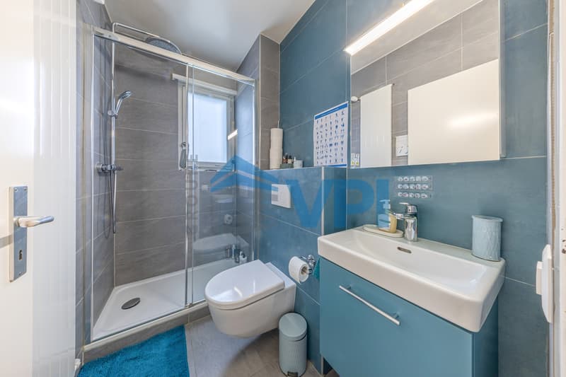 Villa a un solo piano a Meyrin (10)