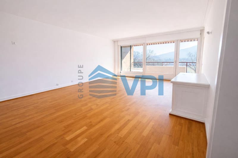 Bellissimo Appartamento di 6 Locali in Affitto - Champel Chemin de Beausoleil (13)