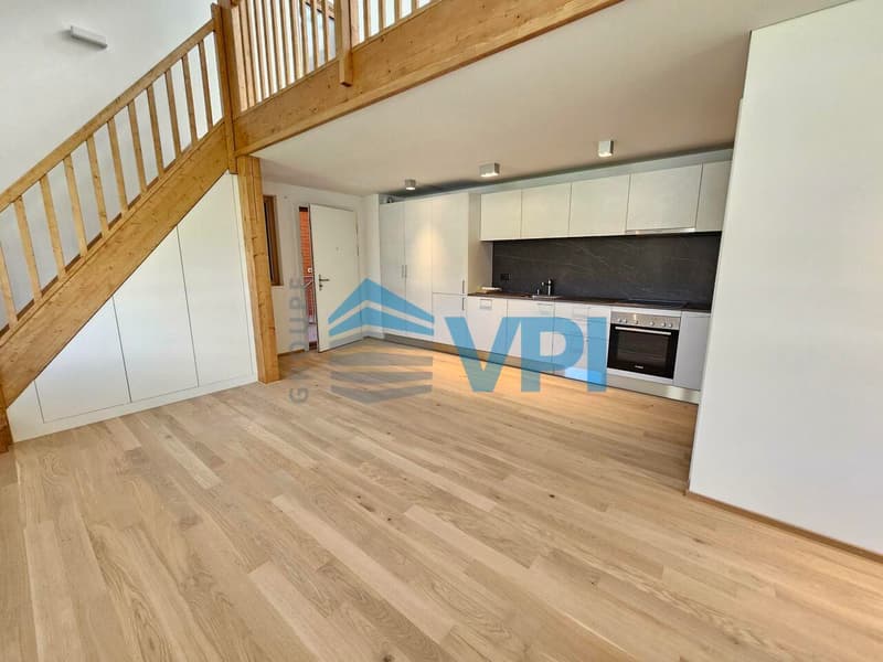 Splendide appartement neuf de 2 pièces mezzanine (9)