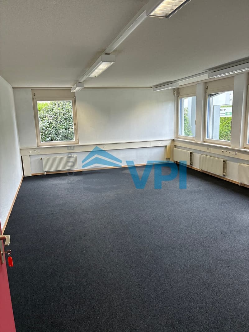 Mont-sur-Lausanne - Bureau lumineux de 169 m² au rez (2)