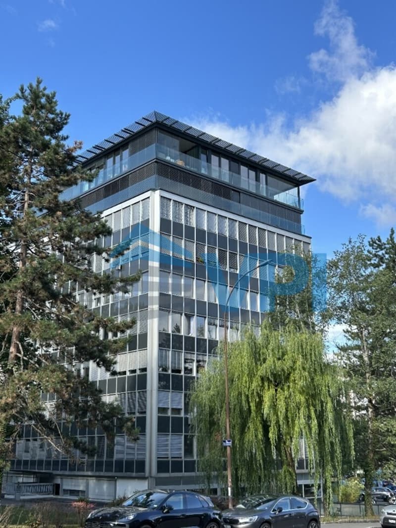 Au coeur de Champel - Bureaux de 199 m2 au 2ème étage (4)