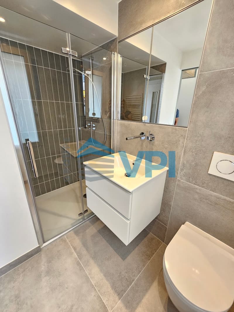 Schönes 1,5-Zimmer-Duplex in Plan-les-Ouates (6)