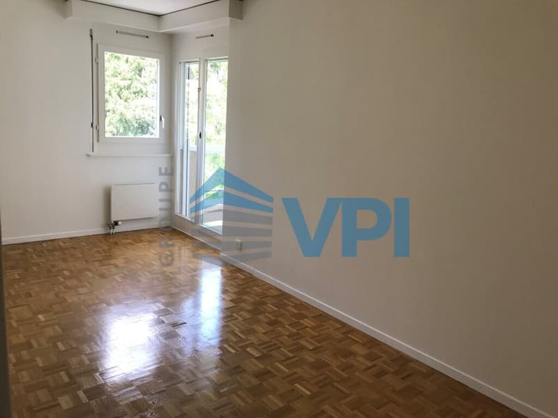 5 rooms Petit-Saconnex close to UN (6)