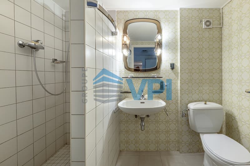 Villa a schiera a Plan-les-Ouates (10)