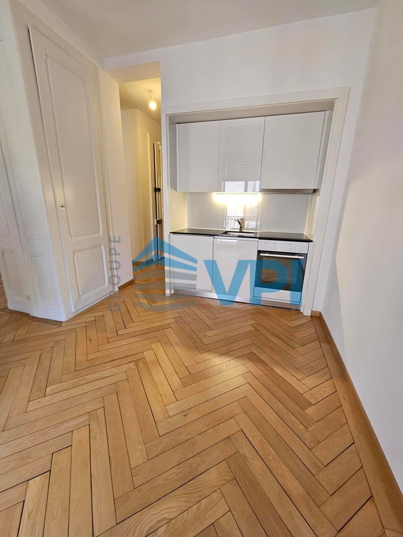 Eaux-Vives - Charmant appartement traversant de 3 pièces (10)
