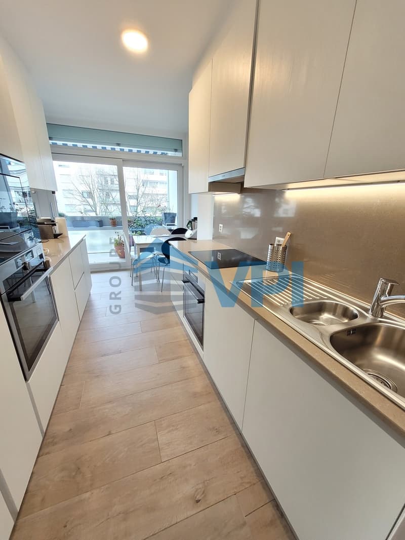 Malagnou : magnifique appartement meublé de 6 pièces (2)