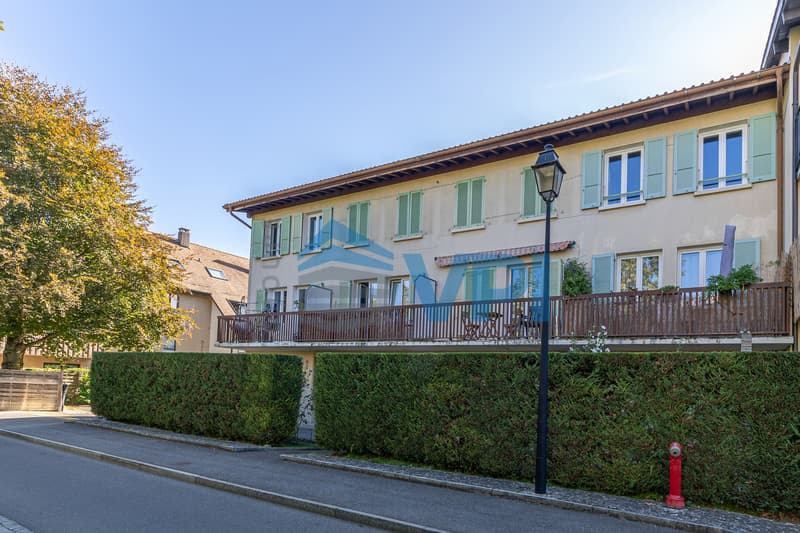 Duplex en attique magnifiquement rénové (13)