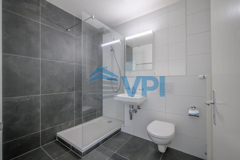 Appartement 4.5 pièces (5)