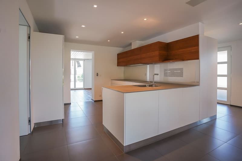 Renovated house with style, charm, and history (2)