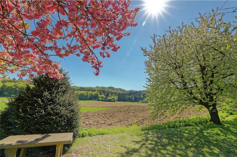 4.5-room semi-detached house with a view of the countryside (2)