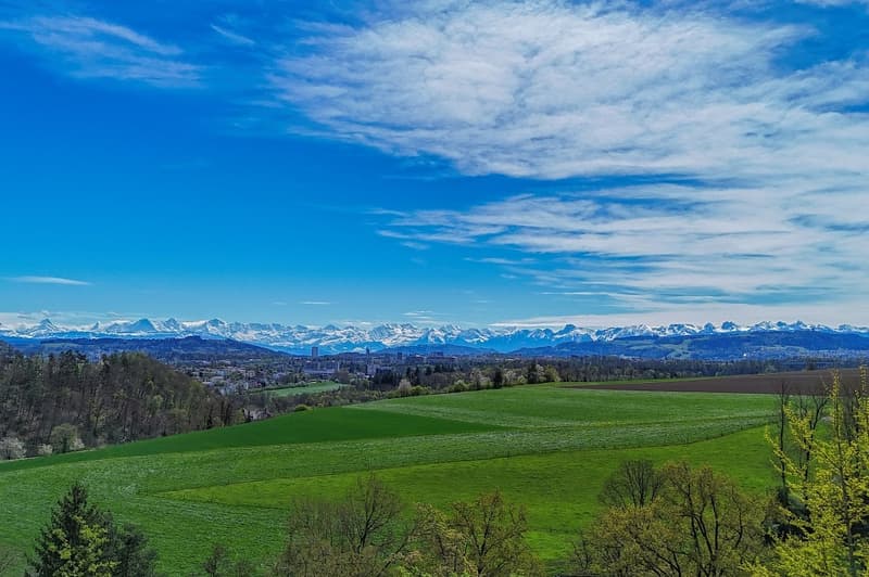 Exklusives Wohnen auf Zeit - Berner Landhaus-Villa (3)