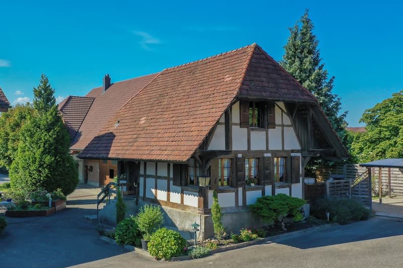 Charming farmhouse with privacy in Kallnach BE (1)